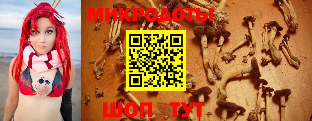 Черкесск  Псилоцибиновые грибы мухоморы  Псилоцибиновые грибы прущие грибы  Вход с VPN 